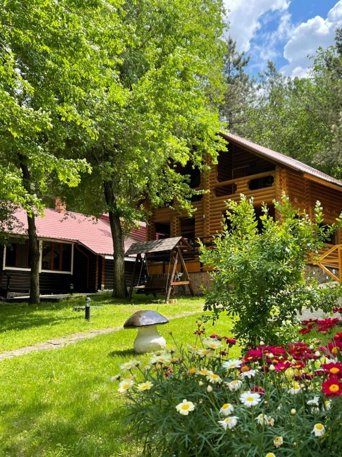 Sky Land Camping & Resort Cricova Exterior photo