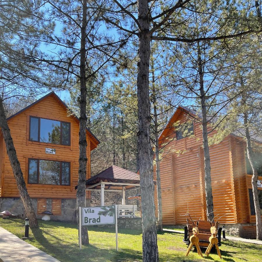 Sky Land Camping & Resort Cricova Exterior photo